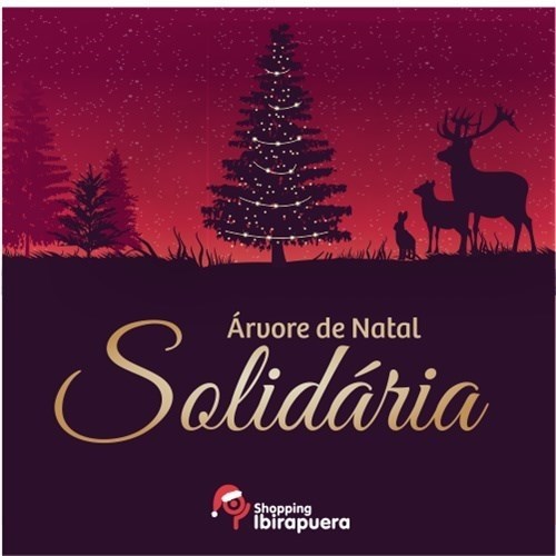 Imagem Card