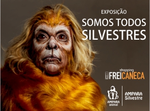 Artistas viram animais silvestres em prol da fauna brasileira