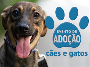 Shopping Frei Caneca realiza evento de adoção com ONG Patinhas Unidas