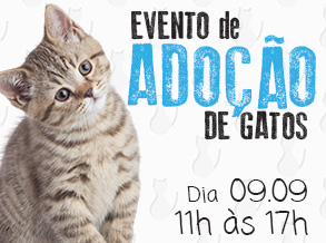 Shopping Frei Caneca realiza Feira de Adoção de Gatos ONG Patinhas Unidas é parceira na ação