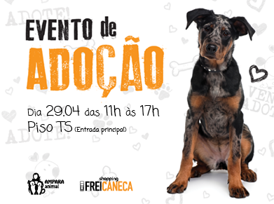 Shopping Frei Caneca promove evento de adoção de cães abandonados