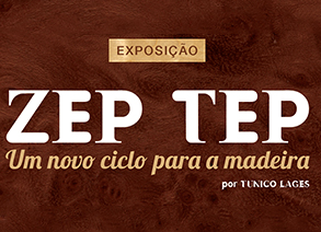 Shopping Frei Caneca recebe exposição de Tunico Lages