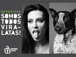 Shopping Frei Caneca recebe exposição “Somos Todos Vira-Latas”