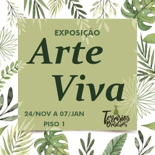 Exposição de Terrários encanta o público do Shopping Frei Caneca