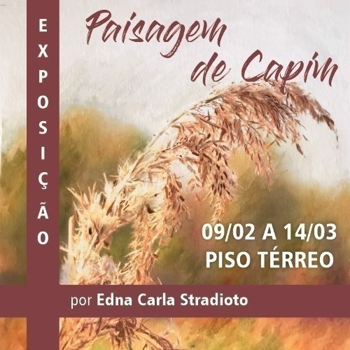 Shopping Frei Caneca apresenta a exposição "Paisagem de Capim"